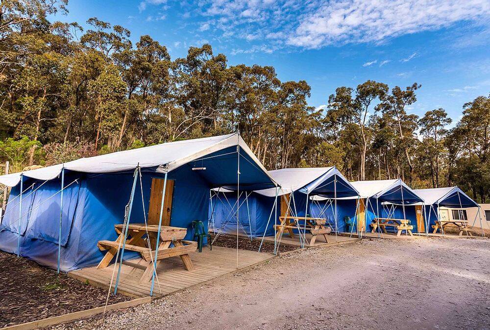 Tent Village accommodation at The Summit adventure camp in Gippsland, Victoria