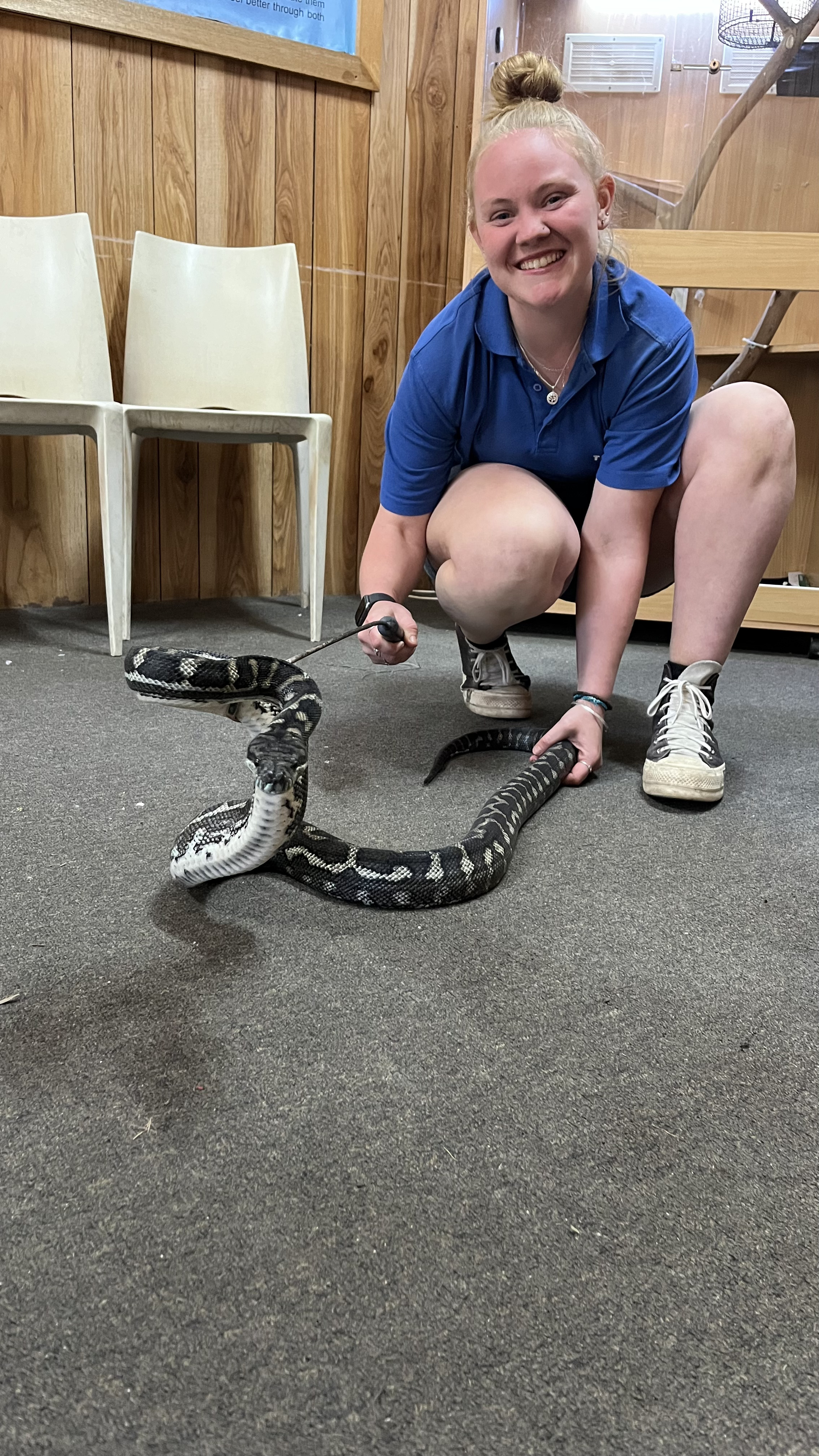 Snakes & Nails activity at The Summit adventure camp in Gippsland, Victoria